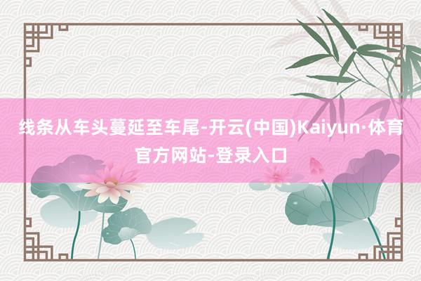 线条从车头蔓延至车尾-开云(中国)Kaiyun·体育官方网站-登录入口