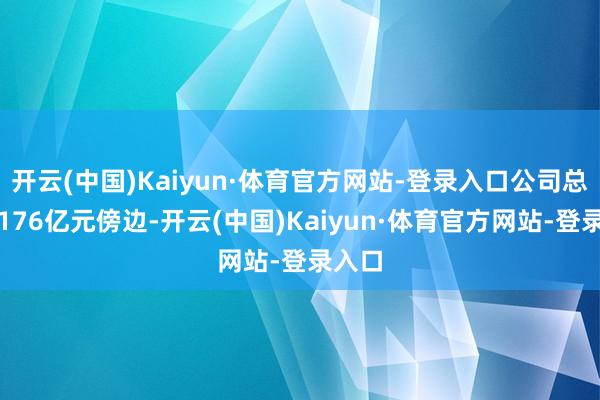 开云(中国)Kaiyun·体育官方网站-登录入口公司总钞票176亿元傍边-开云(中国)Kaiyun·体育官方网站-登录入口