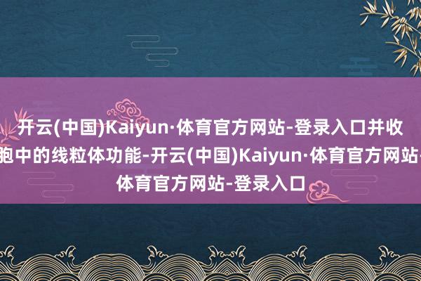 开云(中国)Kaiyun·体育官方网站-登录入口并收复心肌细胞中的线粒体功能-开云(中国)Kaiyun·体育官方网站-登录入口