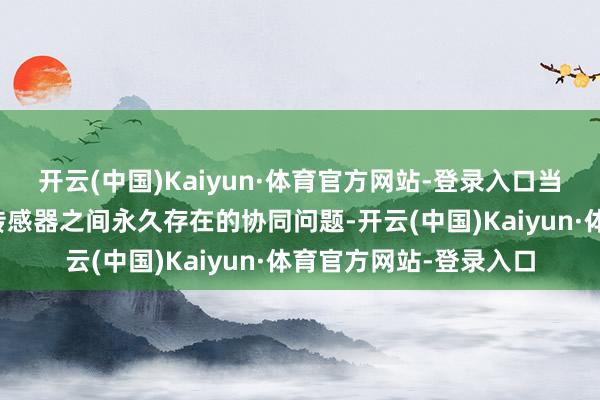 开云(中国)Kaiyun·体育官方网站-登录入口当先冲破算法、芯片与传感器之间永久存在的协同问题-开云(中国)Kaiyun·体育官方网站-登录入口