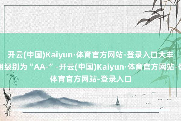 开云(中国)Kaiyun·体育官方网站-登录入口大丰转债信用级别为“AA-”-开云(中国)Kaiyun·体育官方网站-登录入口